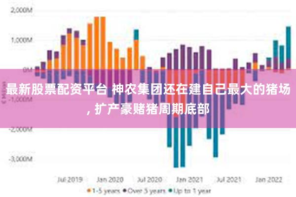 最新股票配资平台 神农集团还在建自己最大的猪场, 扩产豪赌猪周期底部