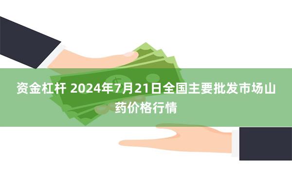 资金杠杆 2024年7月21日全国主要批发市场山药价格行情