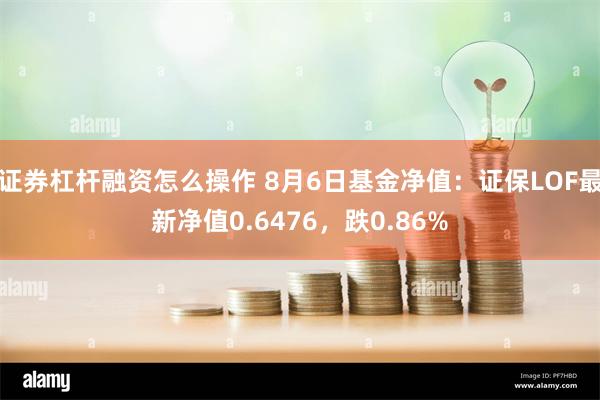 证券杠杆融资怎么操作 8月6日基金净值：证保LOF最新净值0.6476，跌0.86%