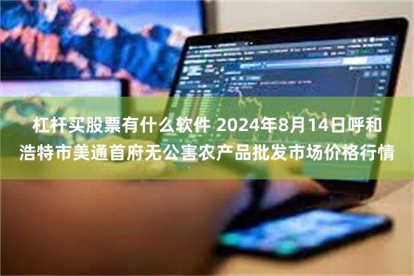 杠杆买股票有什么软件 2024年8月14日呼和浩特市美通首府无公害农产品批发市场价格行情