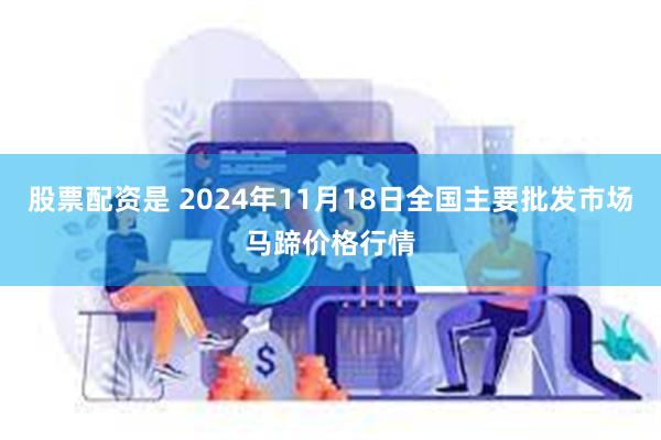 股票配资是 2024年11月18日全国主要批发市场马蹄价格行情