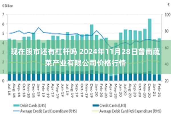 现在股市还有杠杆吗 2024年11月28日鲁南蔬菜产业有限公司价格行情