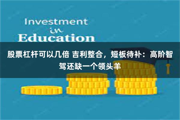 股票杠杆可以几倍 吉利整合，短板待补：高阶智驾还缺一个领头羊