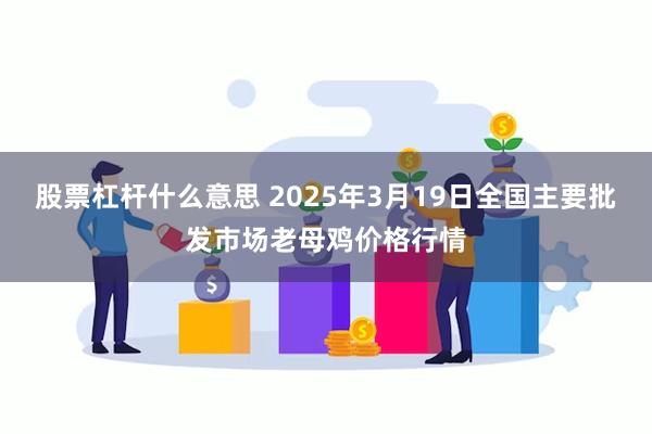 股票杠杆什么意思 2025年3月19日全国主要批发市场老母鸡价格行情